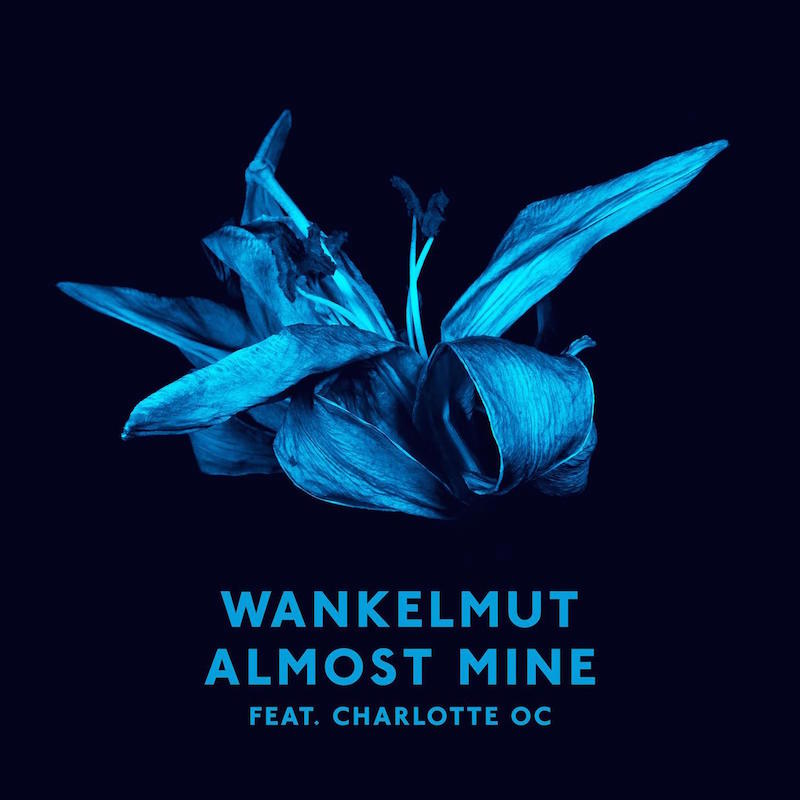 Wankelmut feat. Charlotte OC - Almost Mine 